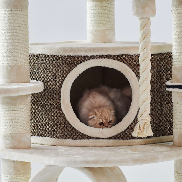 Nobby Kratzbaum Elif